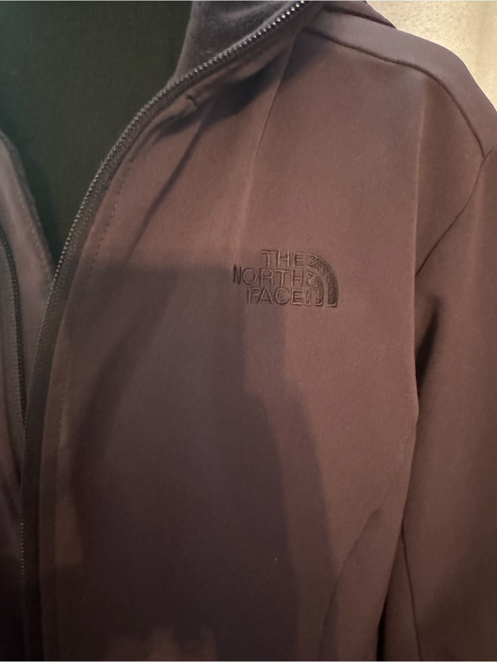 The North Face Women's Deep Plum Hooded Ski Jacket